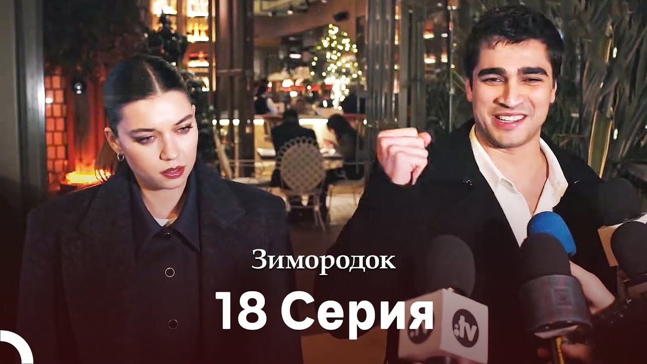 Зимородок 18 Cерия (Русский дубляж)(Длинная Bерсия)