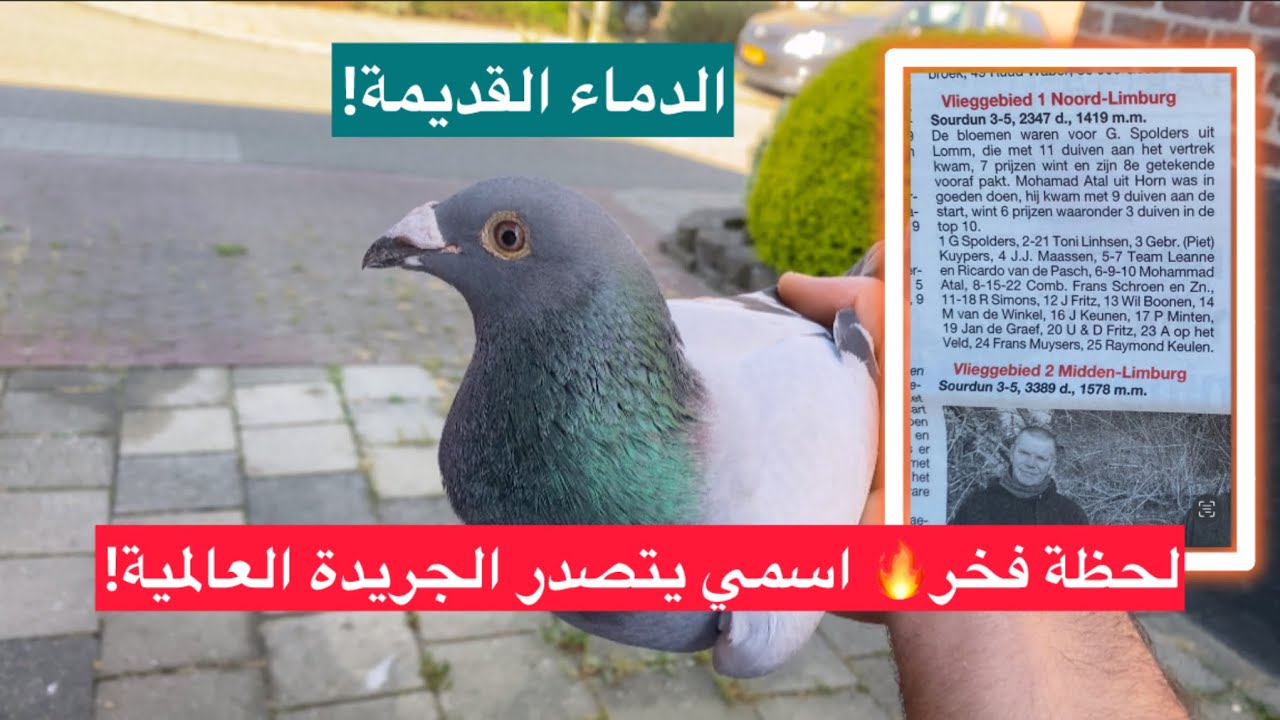 لحظة فخر🔥 اسمي يتصدر الجريدة العالمية! للحمام الزاجل لوفت النخبة