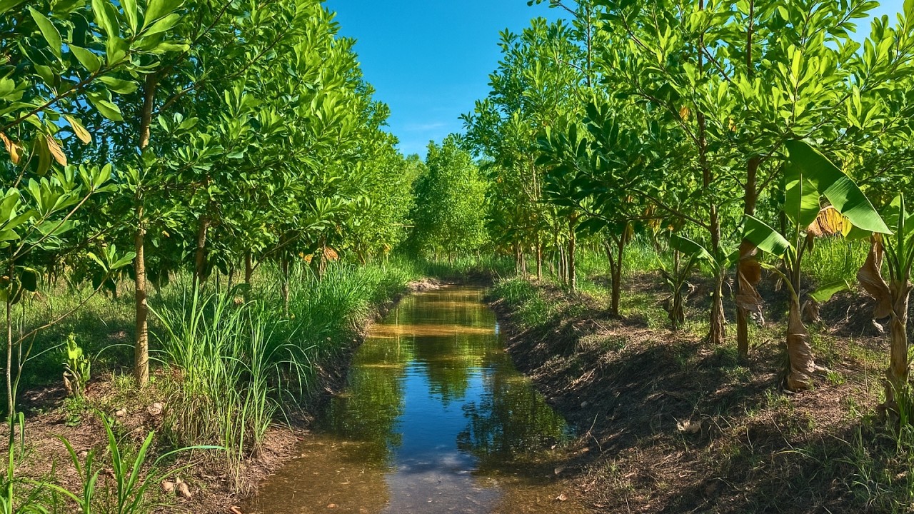 This Farm Keeps Every Drop of Rain & NEVER Uses Fertilizer