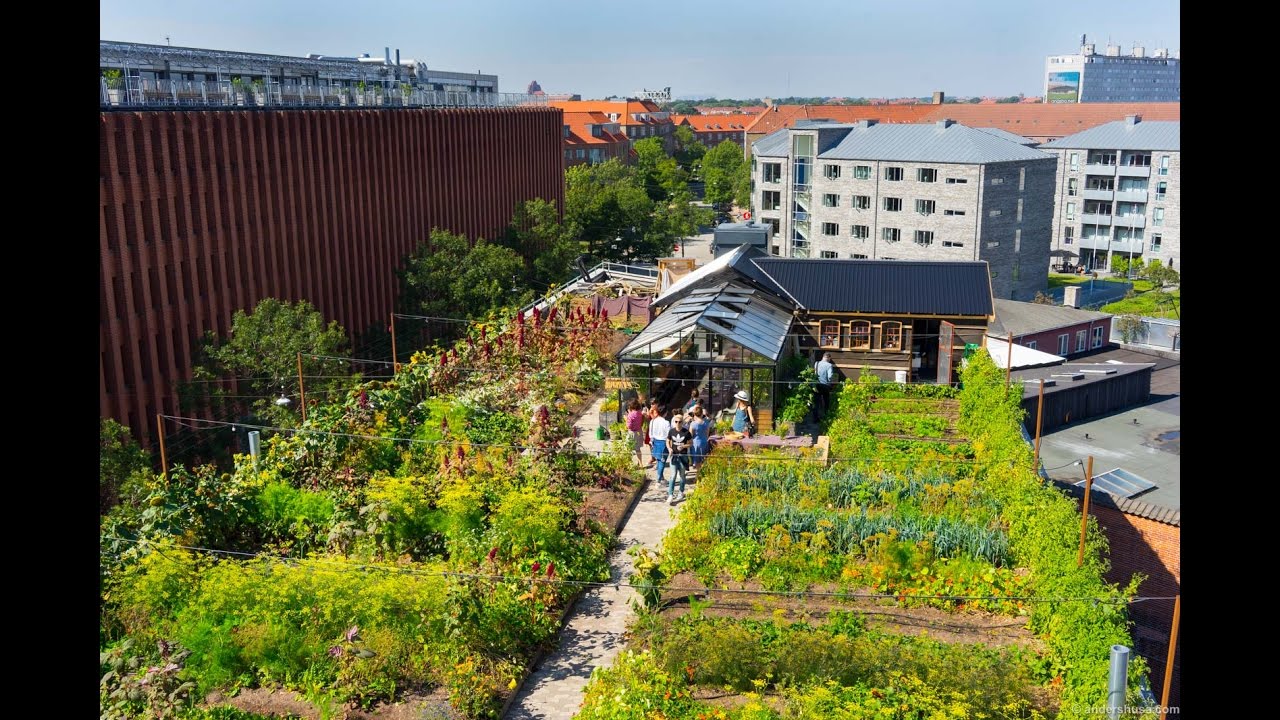 Eat on City Rooftop! – Restaurant Stedsans at ØsterGRO in Copenhagen