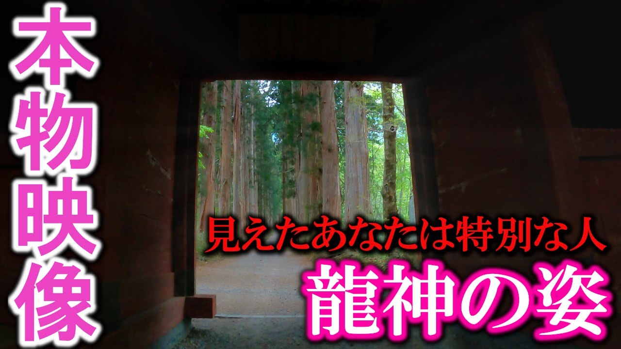 ⚠️龍神様が降臨しました※もし逃したら二度とありません【スーパームーン】｜戸隠神社奥社 遠隔参拝444