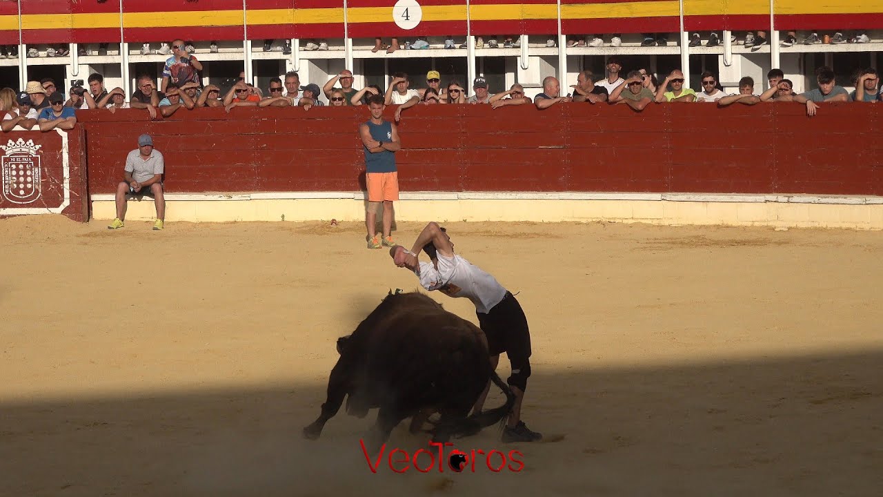 Medina del Campo, 2025  sede del II Congreso Toro de Cajón, tarde capea