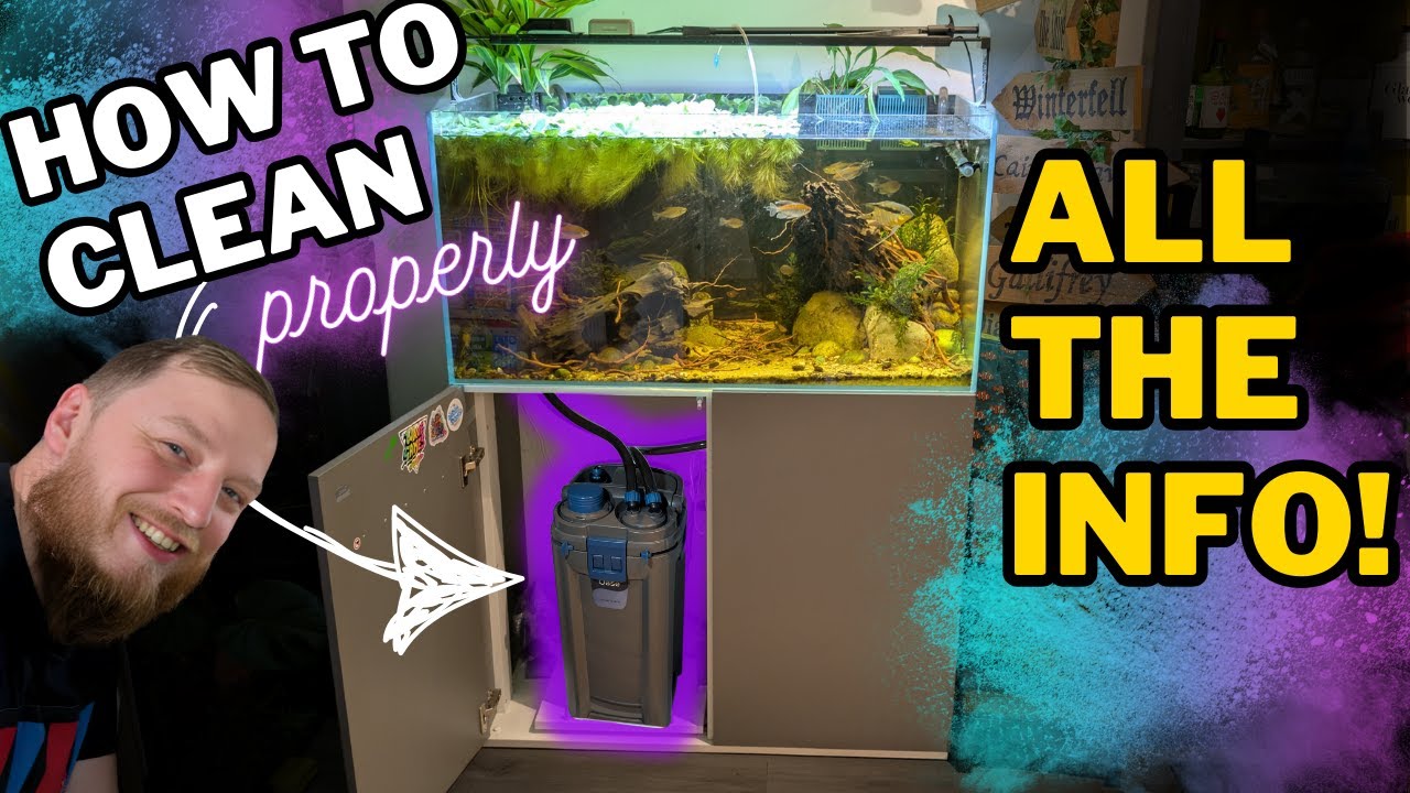 HOW TO clean an external cannister filter. + ONE thing that everyone MISSES!