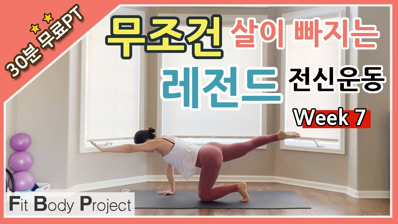 Week7/Fit Body 프로젝트