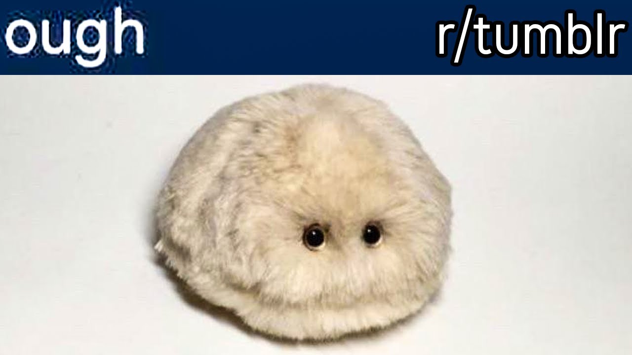 r/tumblr | ох