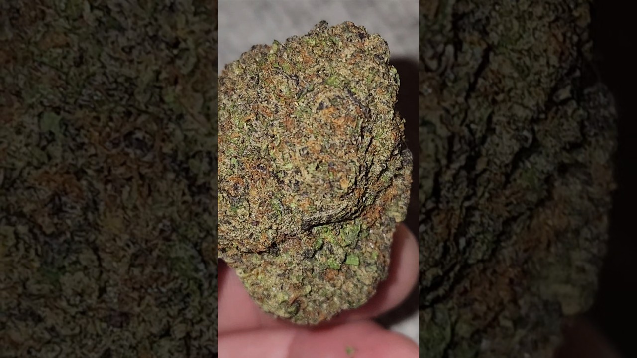 Acai Berry Gelato Strain #shorts