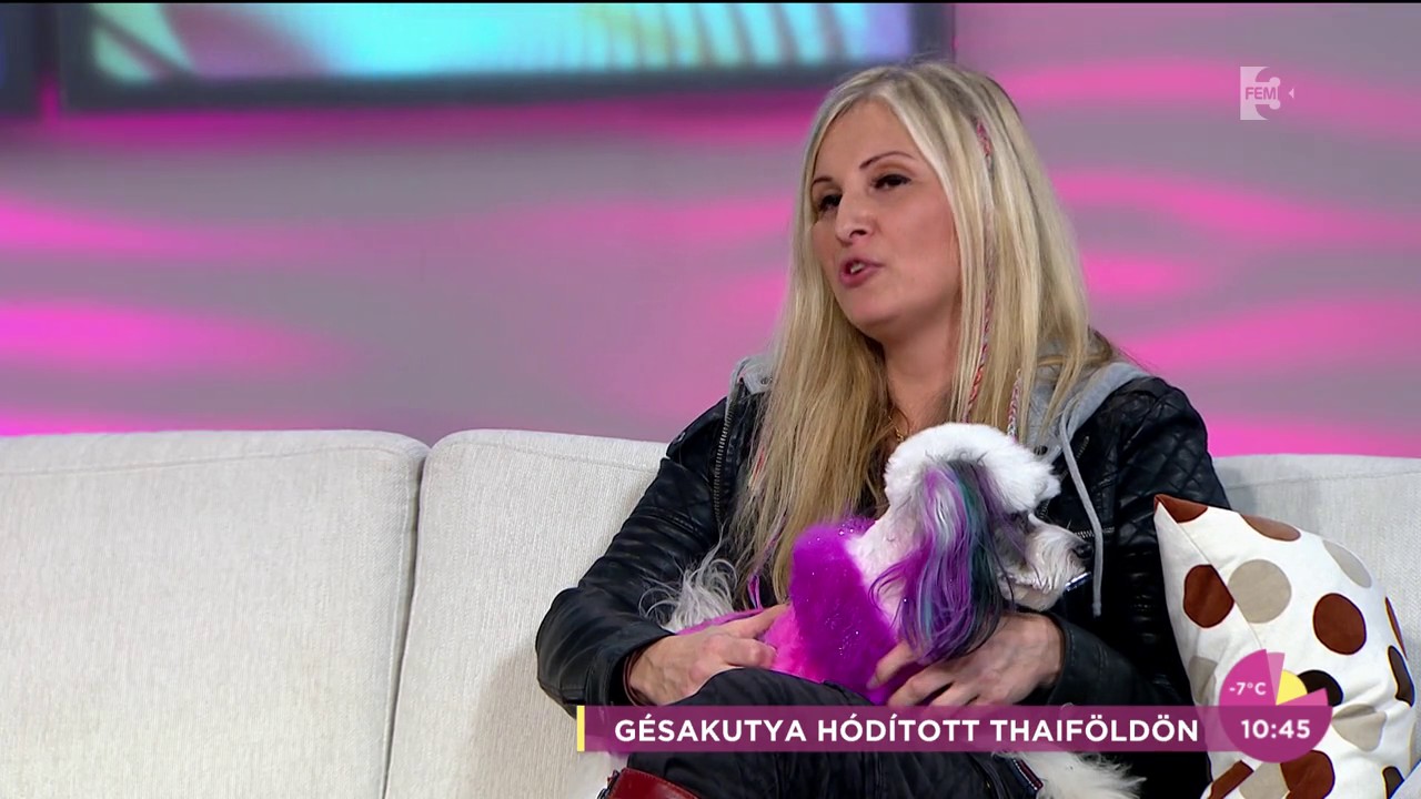 Mit jelent a kreatív kutyakozmetikázás? - tv2.hu/fem3cafe