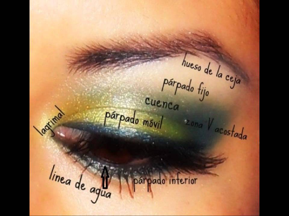Como aplicar las sombras en cada zona del ojo