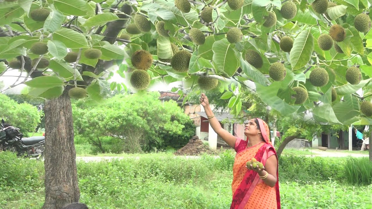 गरमा - गरम समोसे के साथ कदम की चटनी मिल जाए तो सब मांग मांग कर खाए |samosa ki recipe,kadam ki chatni