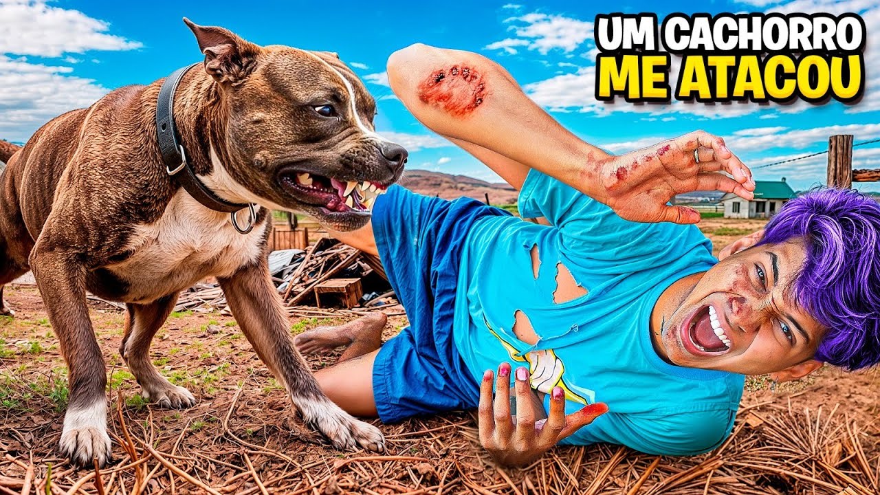 FUI ATACADO POR UM CACHORRO RAIVOSO AJUDANDO CACHORRINHOS DE RUA *fui pro hospital? 