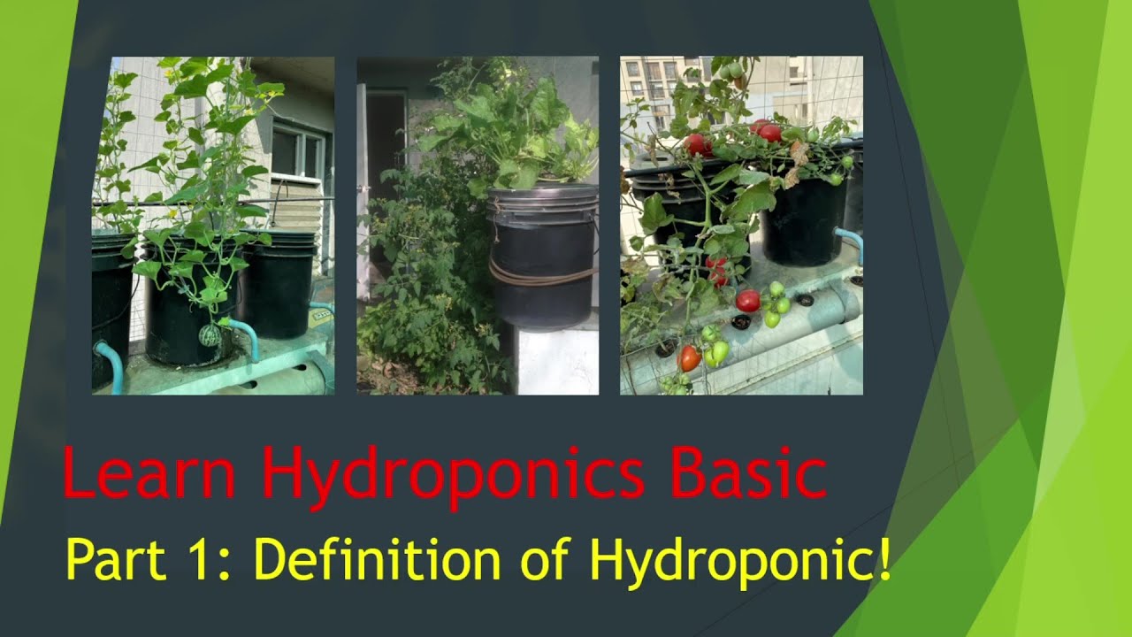 Learn Hydroponic Basic  Part 1//Hydroponics Introduction//importance of hydroponic gardening