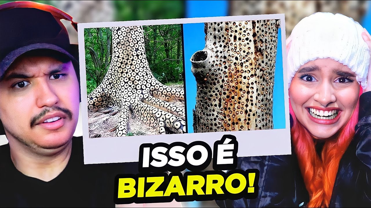 INACREDITÁVEL! Anomalias SUPREENDENTES da NATUREZA! | React Fala Sério