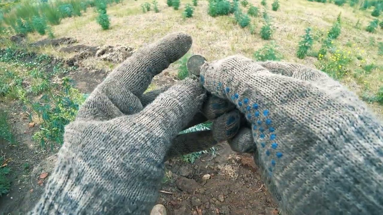 КОП С МТ 705. Поиск монеты и железа с металлоискателем.