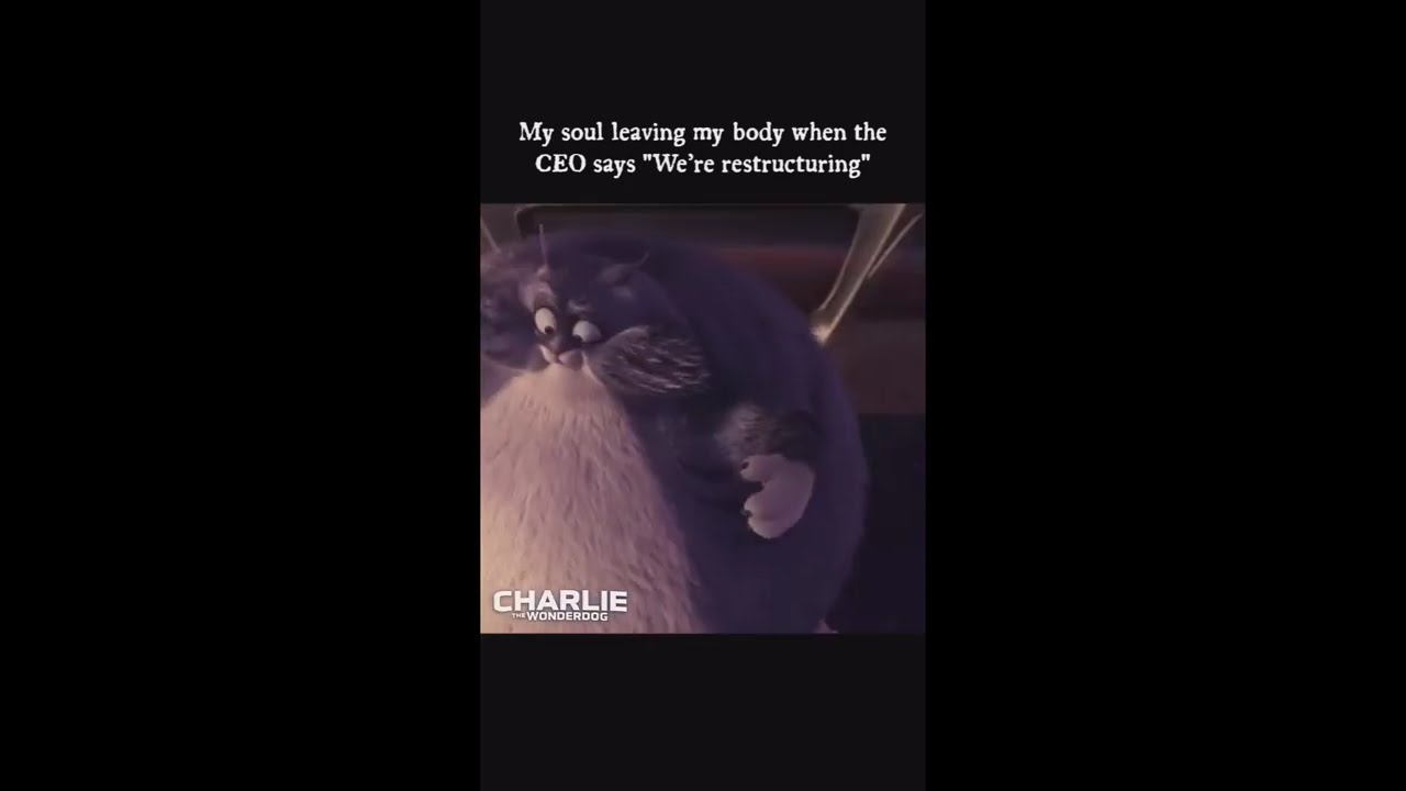 CHARLIE THE WONDERDOG "Terrible Alien Pets" Trailer (NEW 2026)