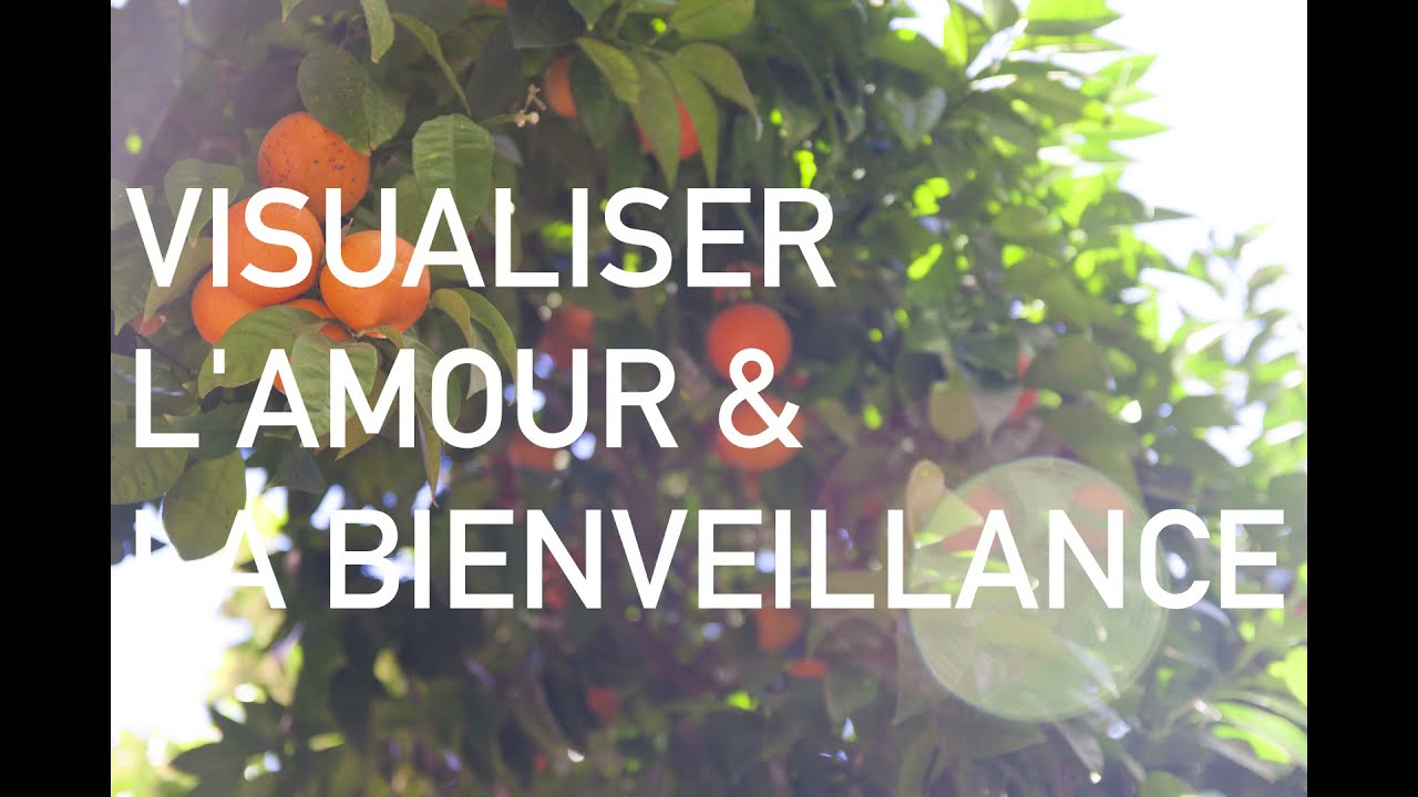 Méditation - visualisation de l'amour & la bienveillance ⟡ Ginkgo