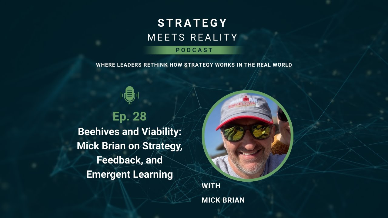Ep.28 Beehives and Viability: Mick Brian on Strategy, Feedback, and Emergent Learning