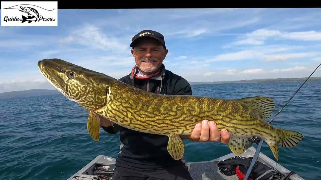 I big pike di Bracciano