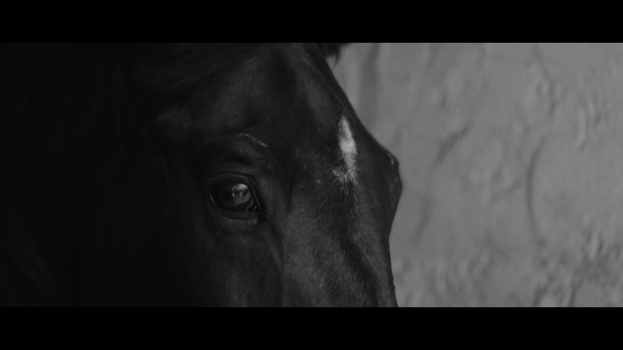 Mind Ripple - Nothing New Under The Sun (Official Video)