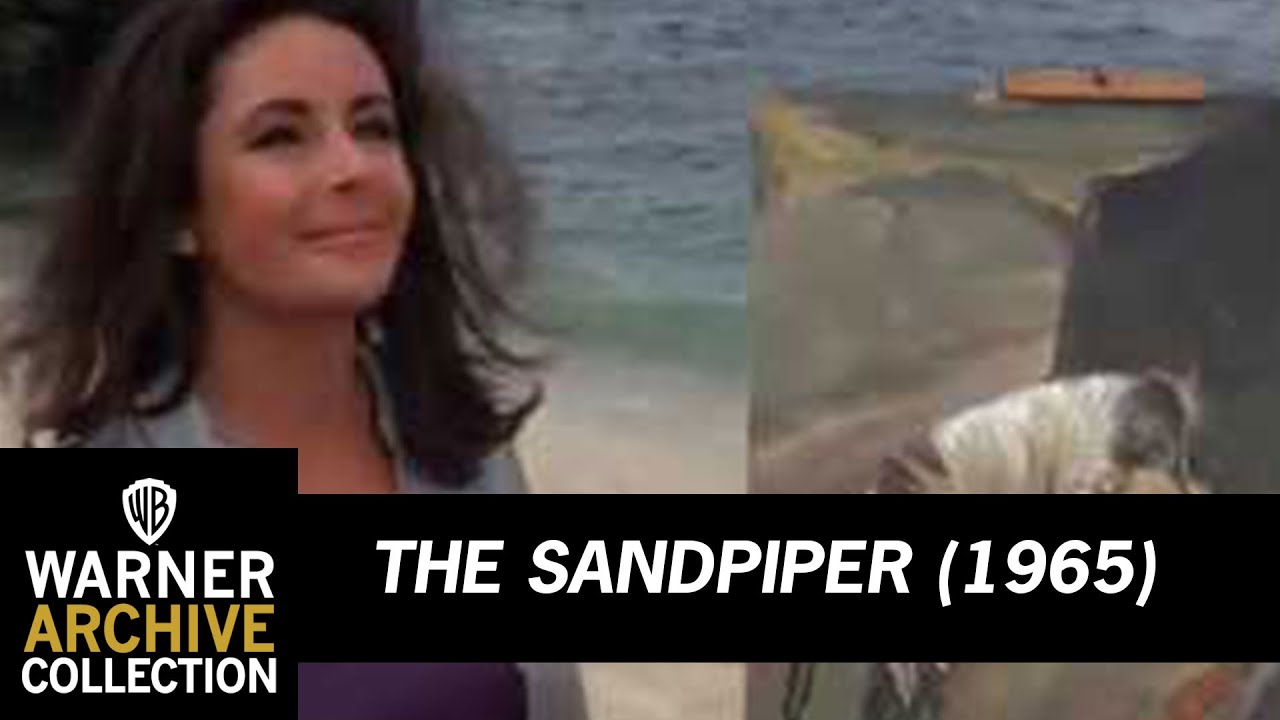 Open | The Sandpiper | Warner Archive