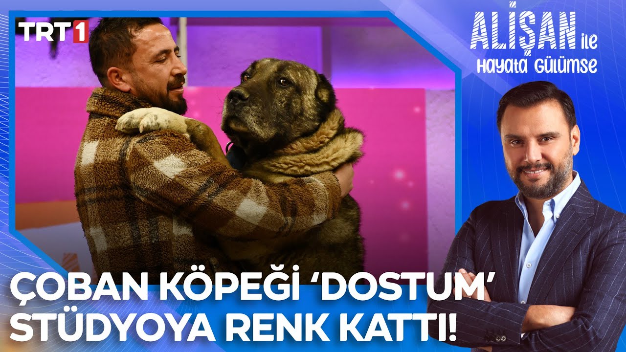 İlkay Tınastepe'nin çoban olarak yetiştirdiği köpeği ile macerası! | @AlisanileHayataGulumseTRT