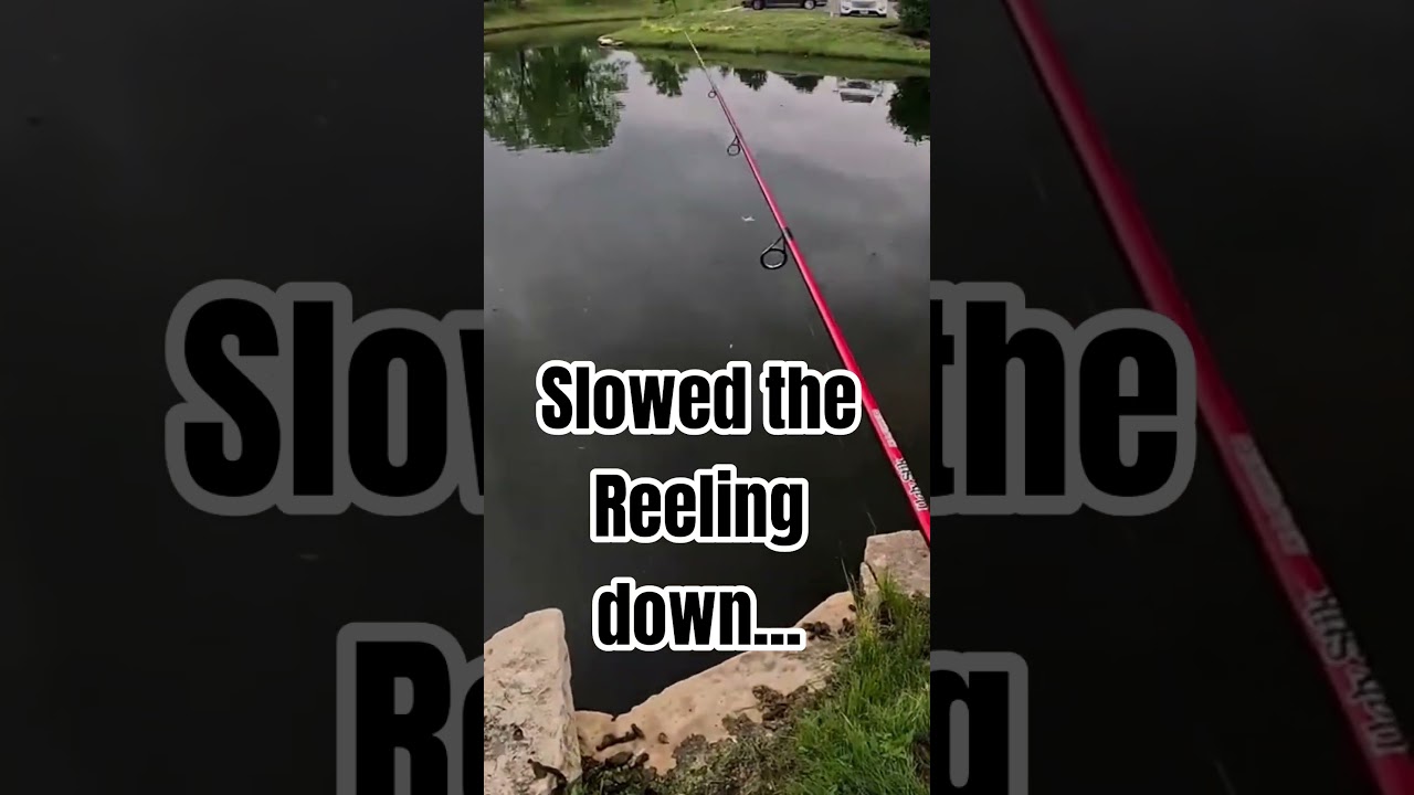 Weird Lure, Wild Result… Cicada Bug?! 