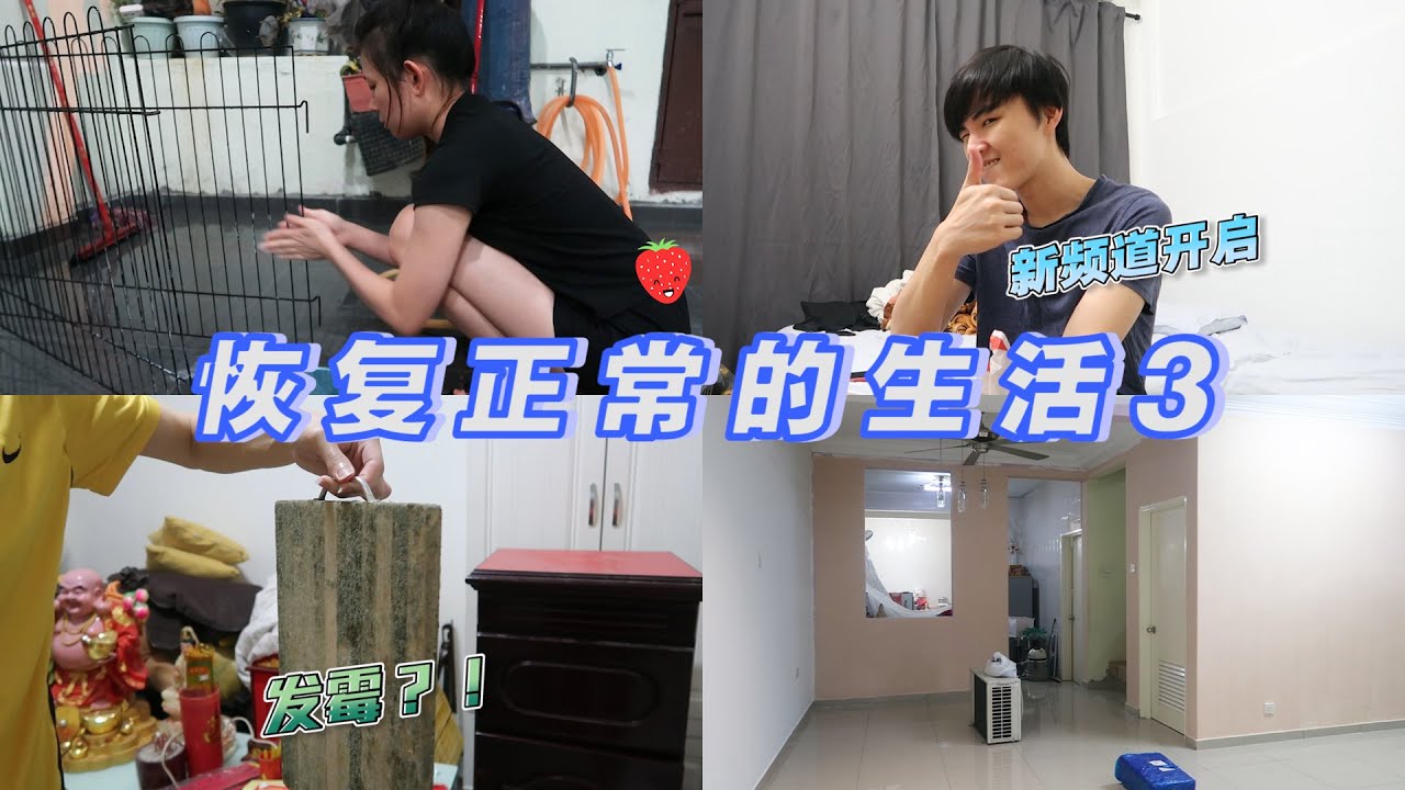 逐渐恢复正常生活的舒坦？！客厅完成了90%的油漆...但是整个房间都发霉了！！晕