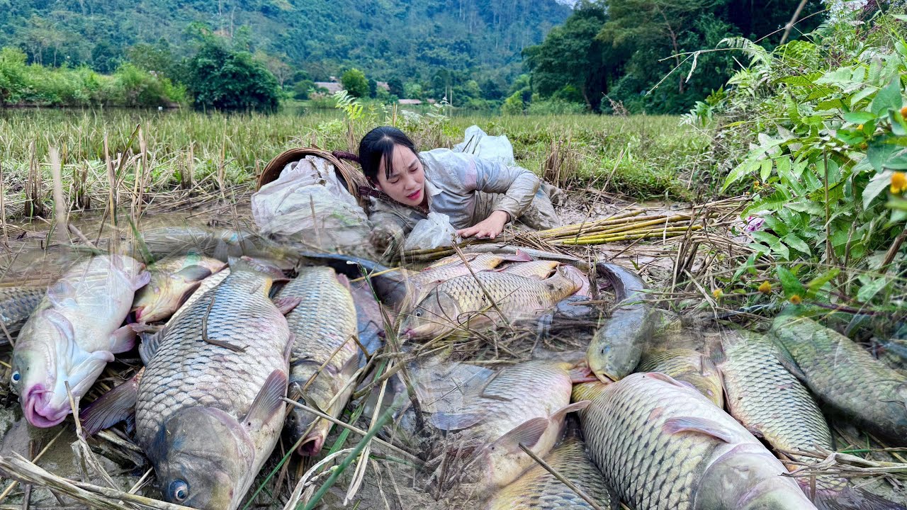 Traditional Fishing Skills - Girl Catches Giant Fish in a Lush River with a Bamboo Rod