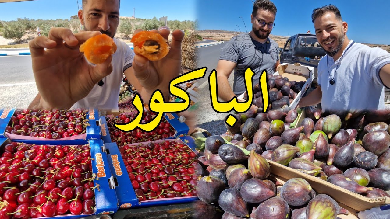 جديد موسم فاكهة الباكور على الطريق السعيدية حب الملوك المشمش الخوخ وببوش إقليم بركان