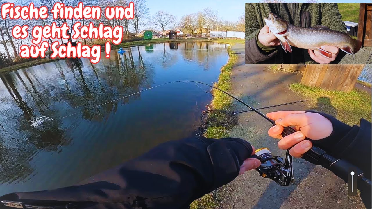 Forellenangeln mit Gummiköder Libra Lure Ultralight Angeln Goldforelle Angelteiche Beverstedt