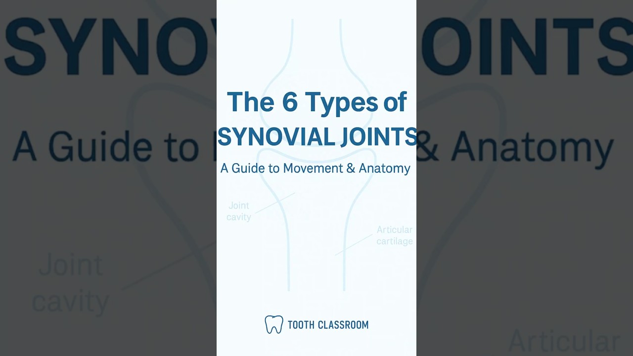 Types of Synovial Joint| Bone|Ball & socket, hinge, pivot, saddle| 