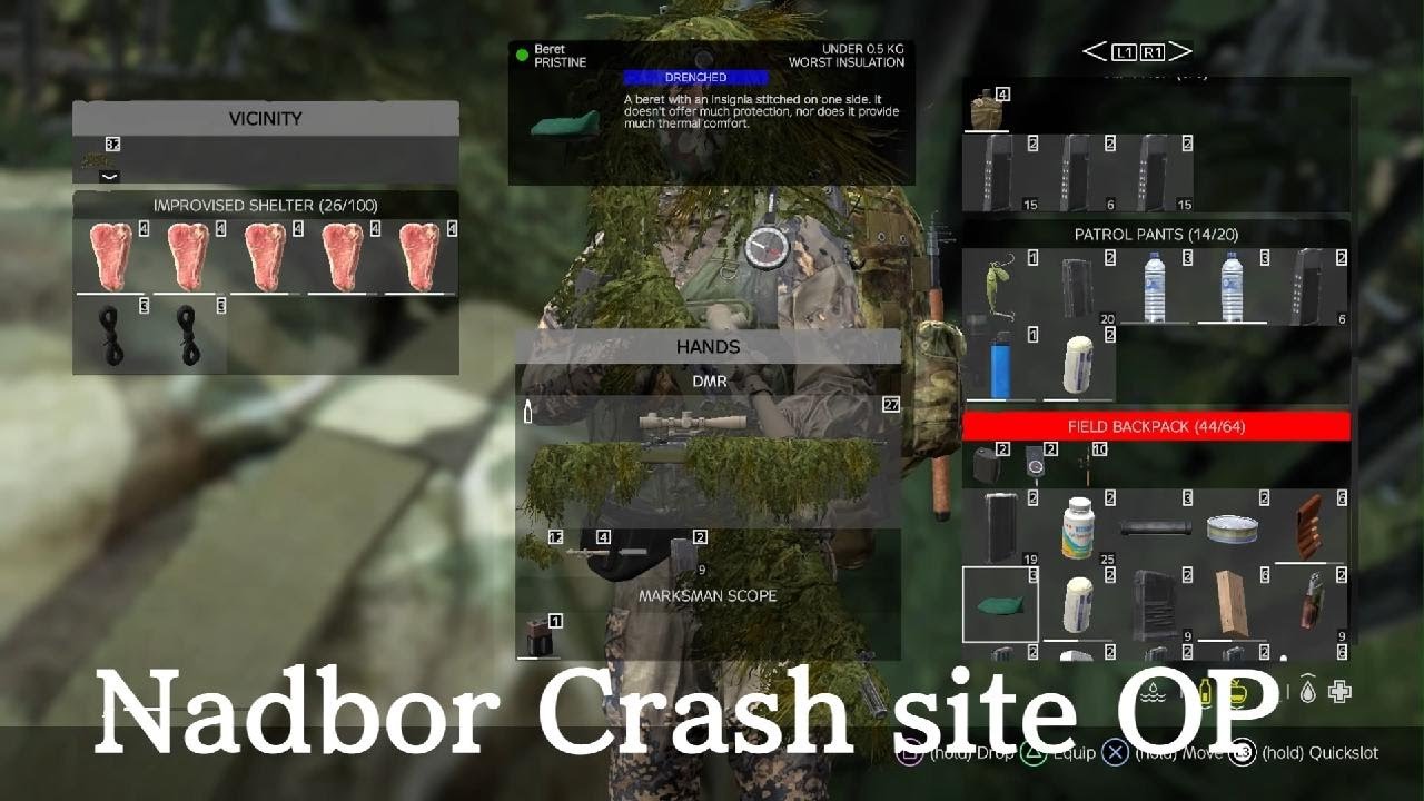 DayZ OP