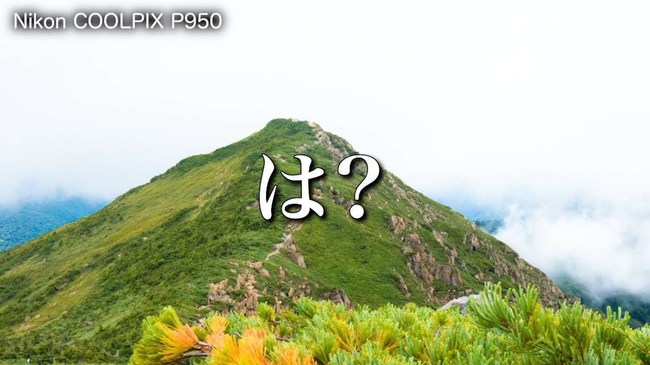 野鳥を求めて無計画に山に登るとこうなる《COOLPIX P950》