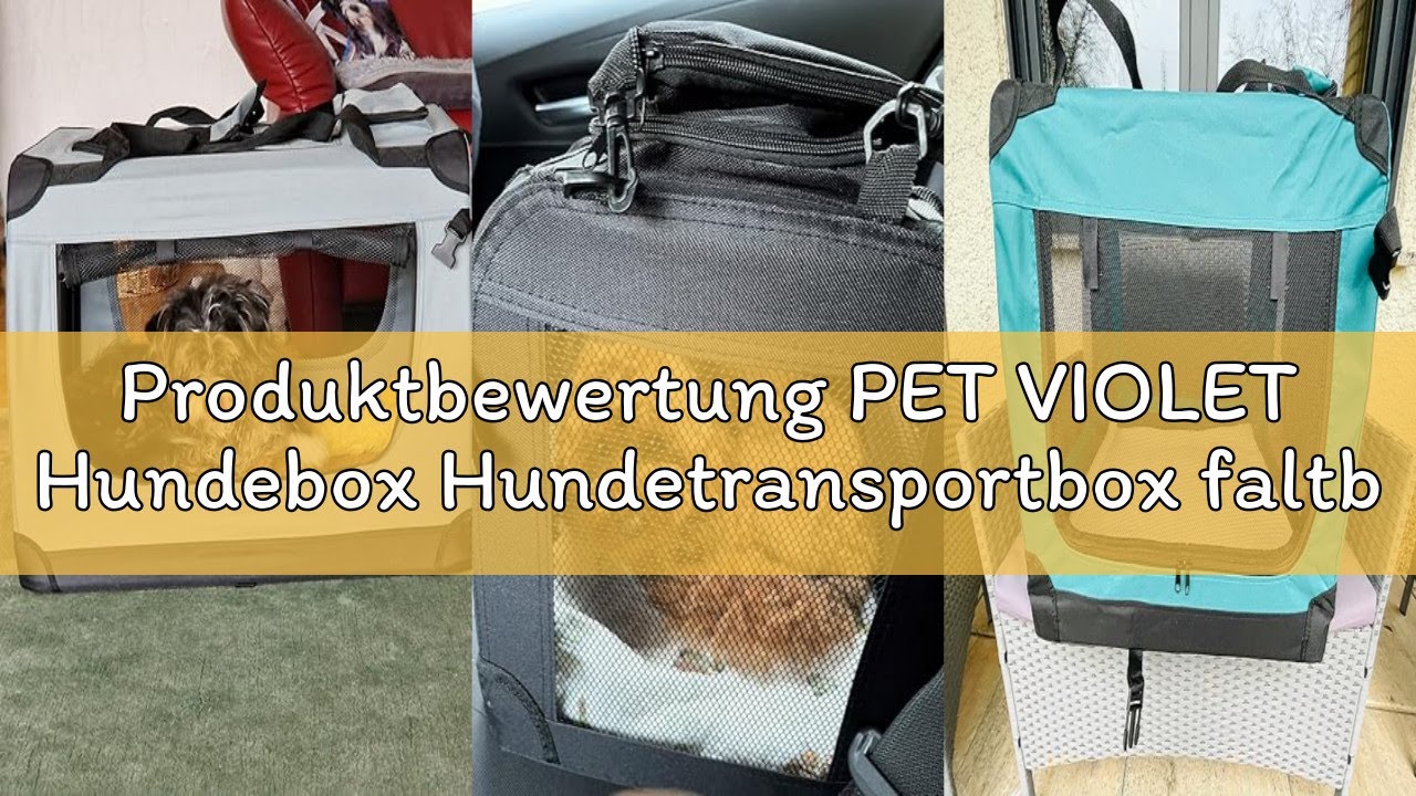 Produktbewertung PET VIOLET Hundebox Hundetransportbox faltbar & robust für Auto & Reise – 62×42×44