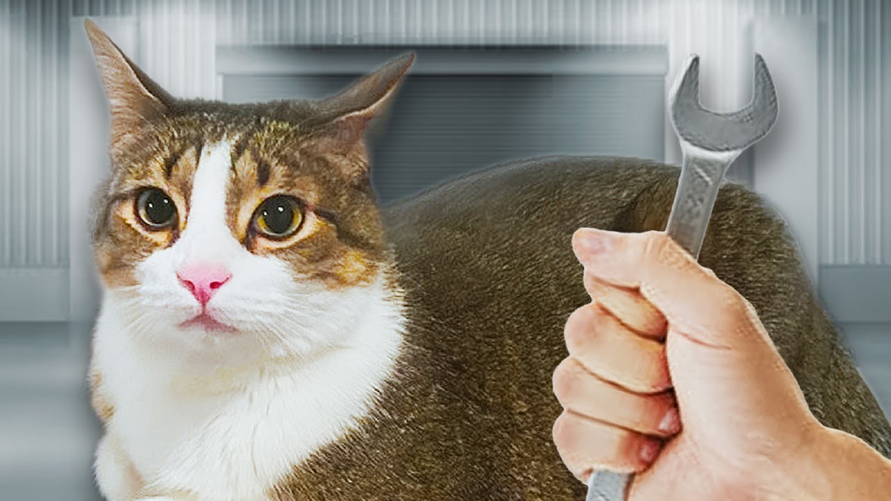How To Maintenance Your Car