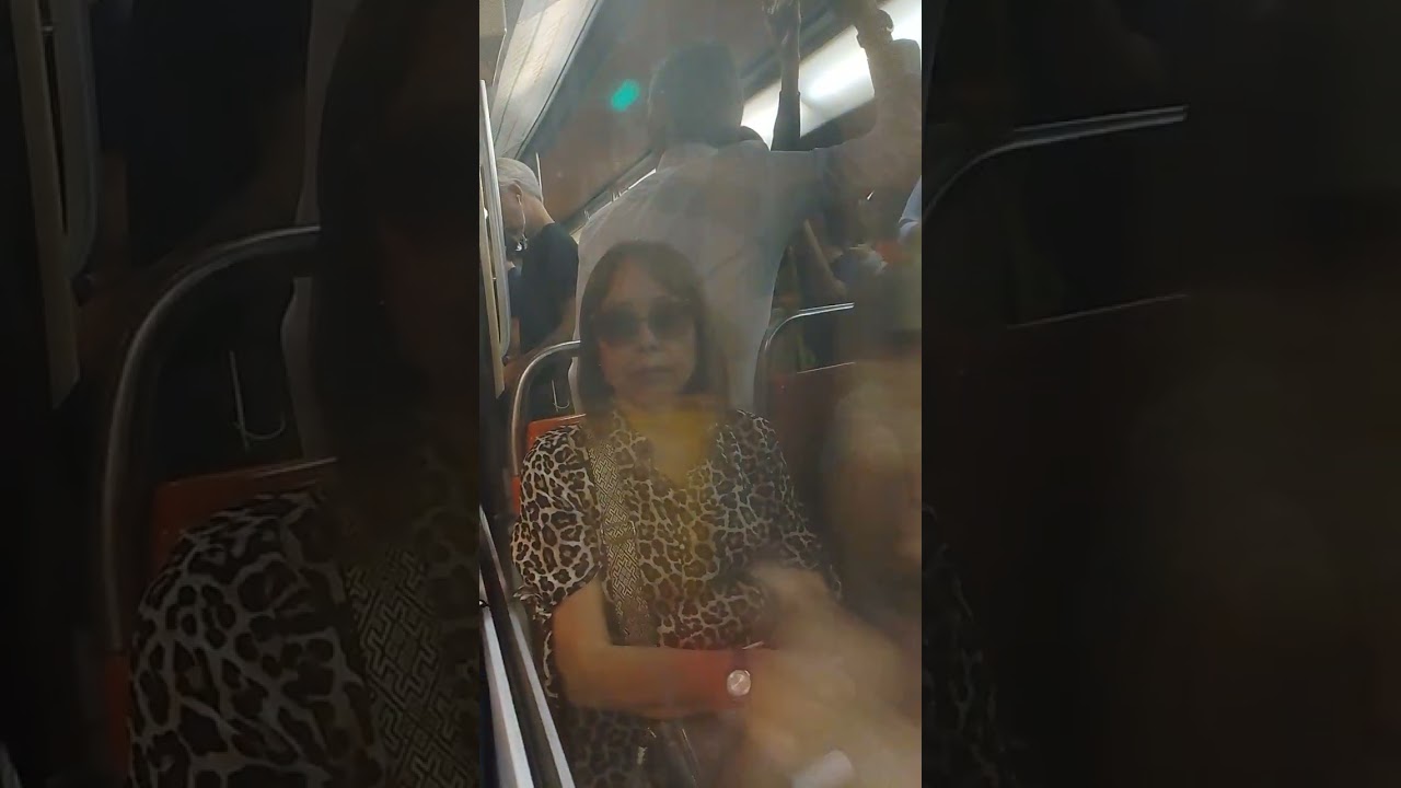 Viaje En Un NS-93 2074 De La Línea 1 Del Metro De Santiago Hasta Unión Latinoamericana 