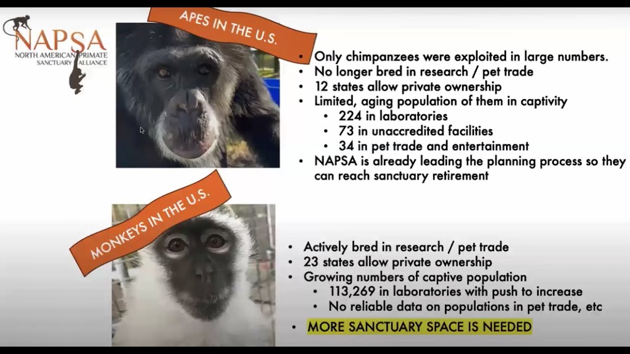 Part III: After the Lab: Legal Solutions to the Laboratory Animal Rehoming Problem