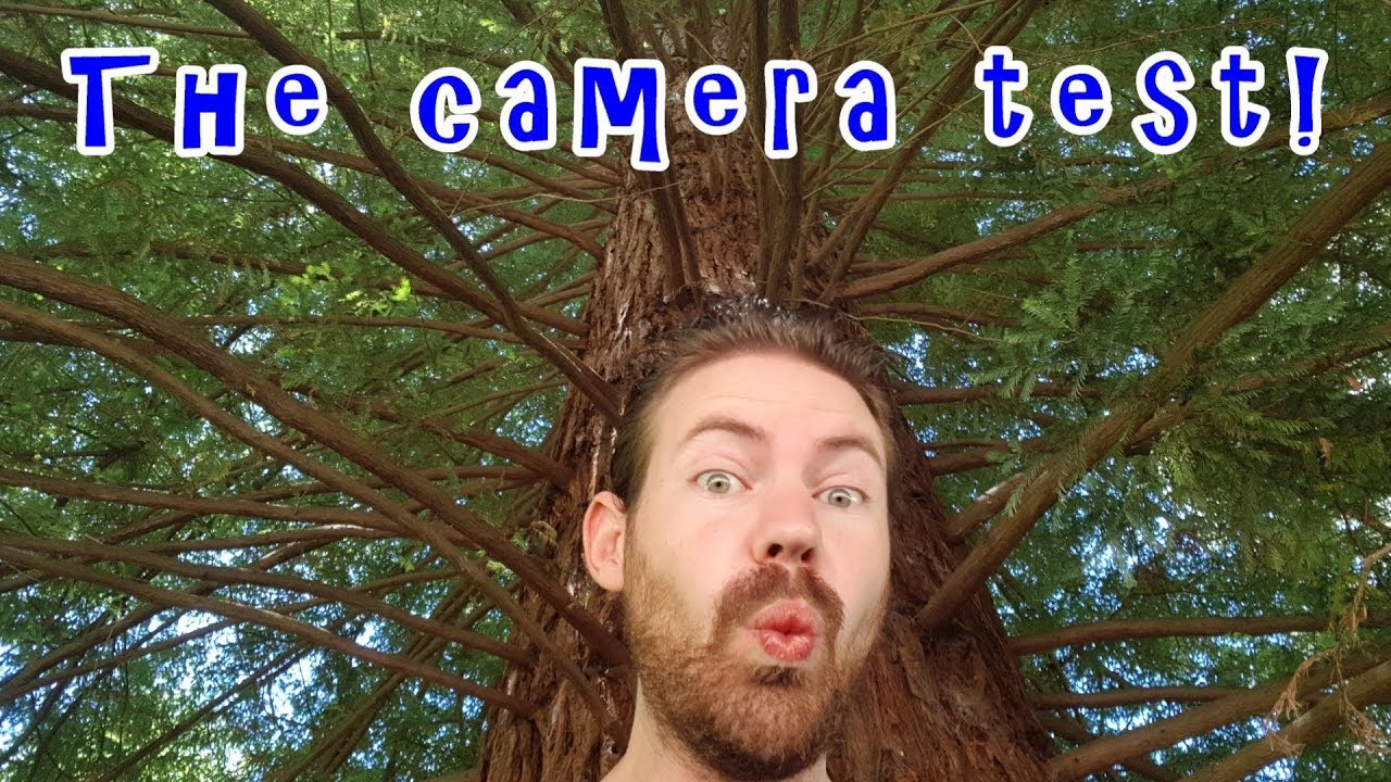Samsung Note 8 camera review