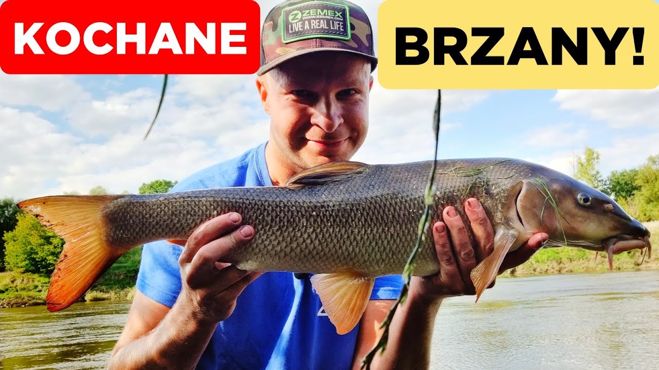 336 KOCHANE BRZANY! RZEKA JAK TAJFUN!