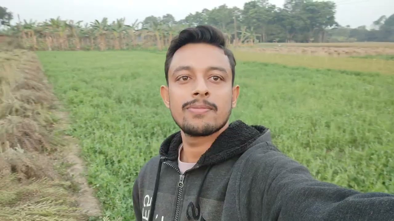 বিকালবেলার পড়ন্ত রোদে চাষের জমিতে সময় কাটানো 