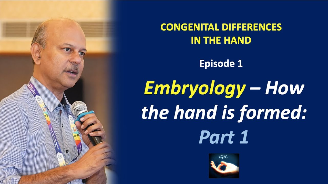 Congenital hand differences: Episode 1 - Embryology - How the hand is formed - Part 1