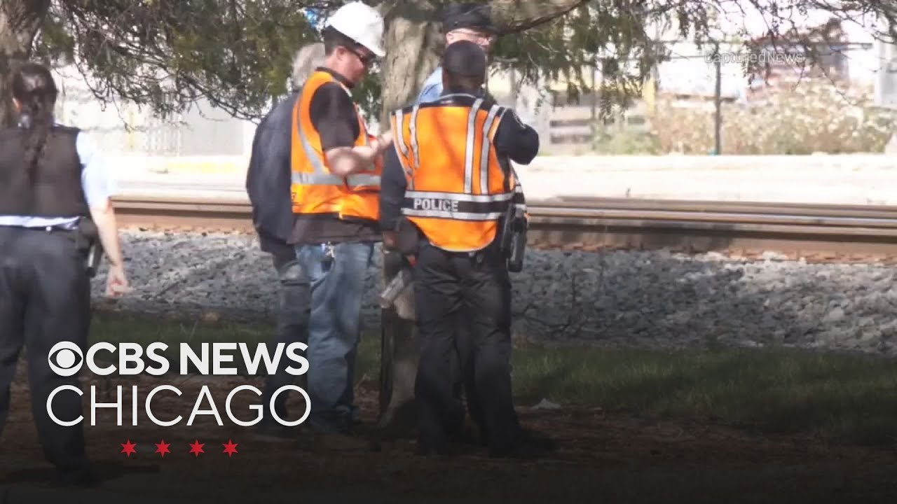 Metra Milwaukee District North line halted after Amtrak train hits pedestrian