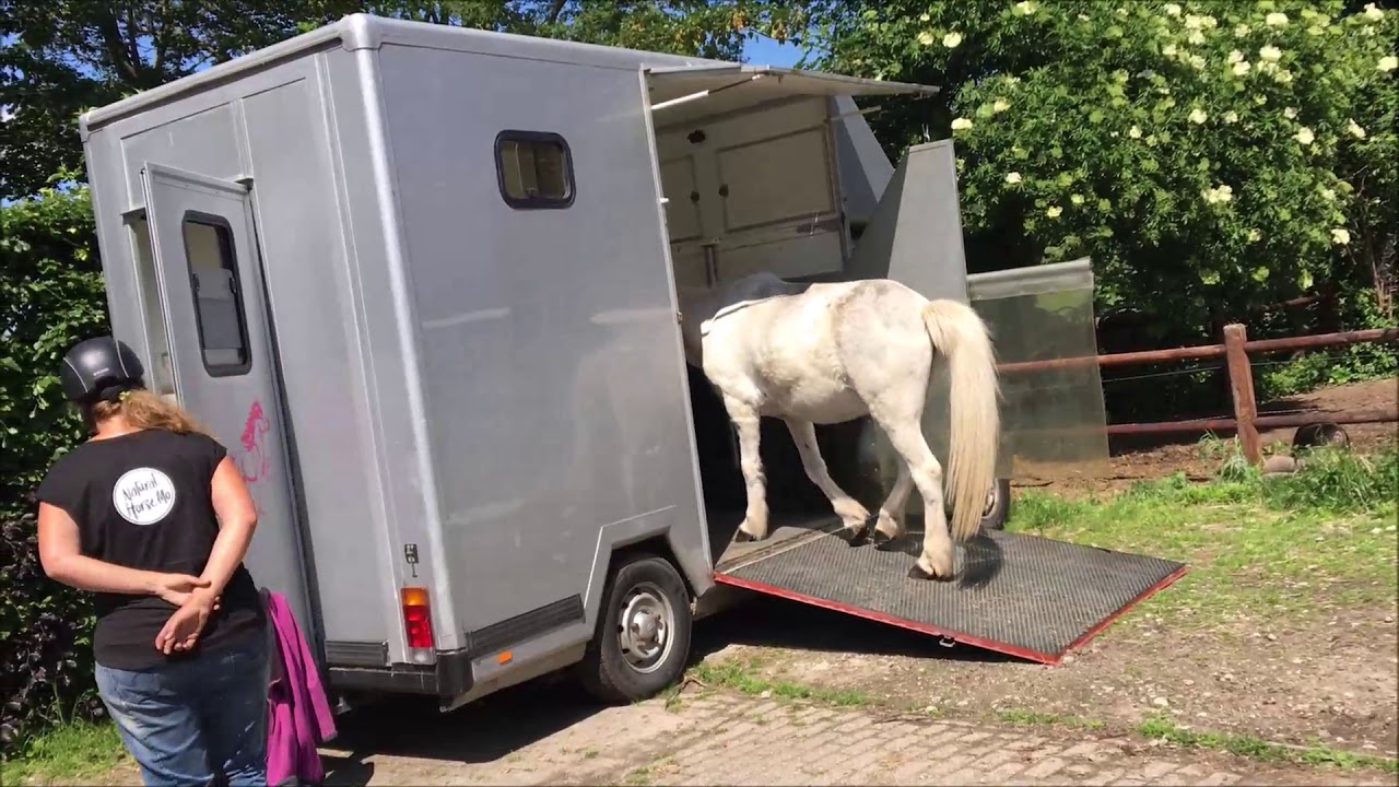 Vlog 19 Gumer is niet alleen te laden! - Natural HorseMo