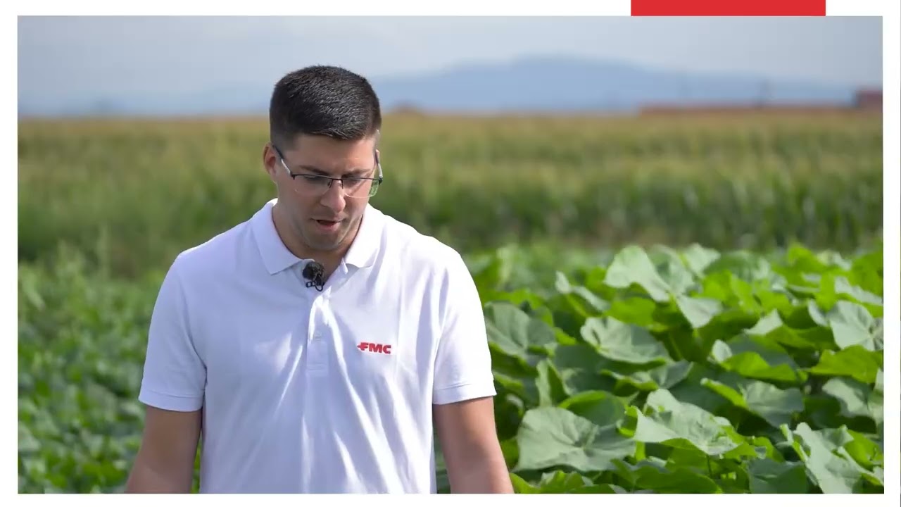 Command ® Ultra la soluzione di FMC per il diserbo della soia