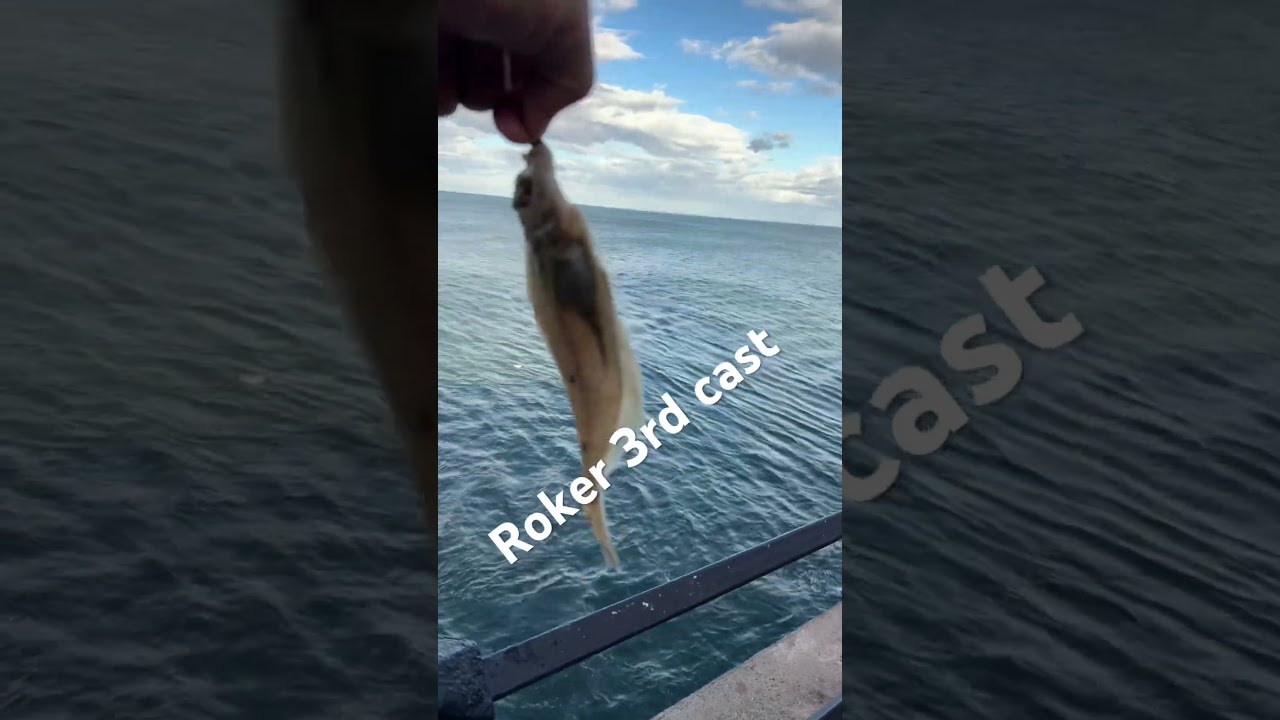 Roker pier again #fishing #roker #thegeordieangler