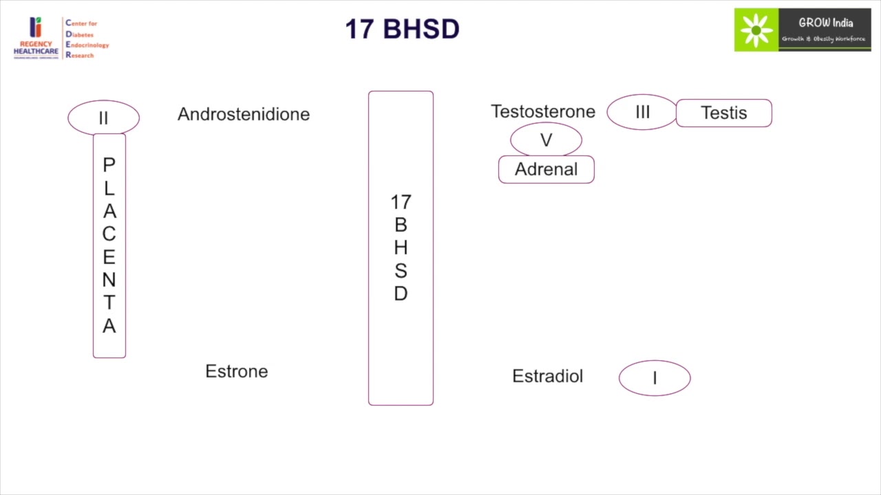 GROW Society Adrenal Learning Module- Steroidogensis Part II