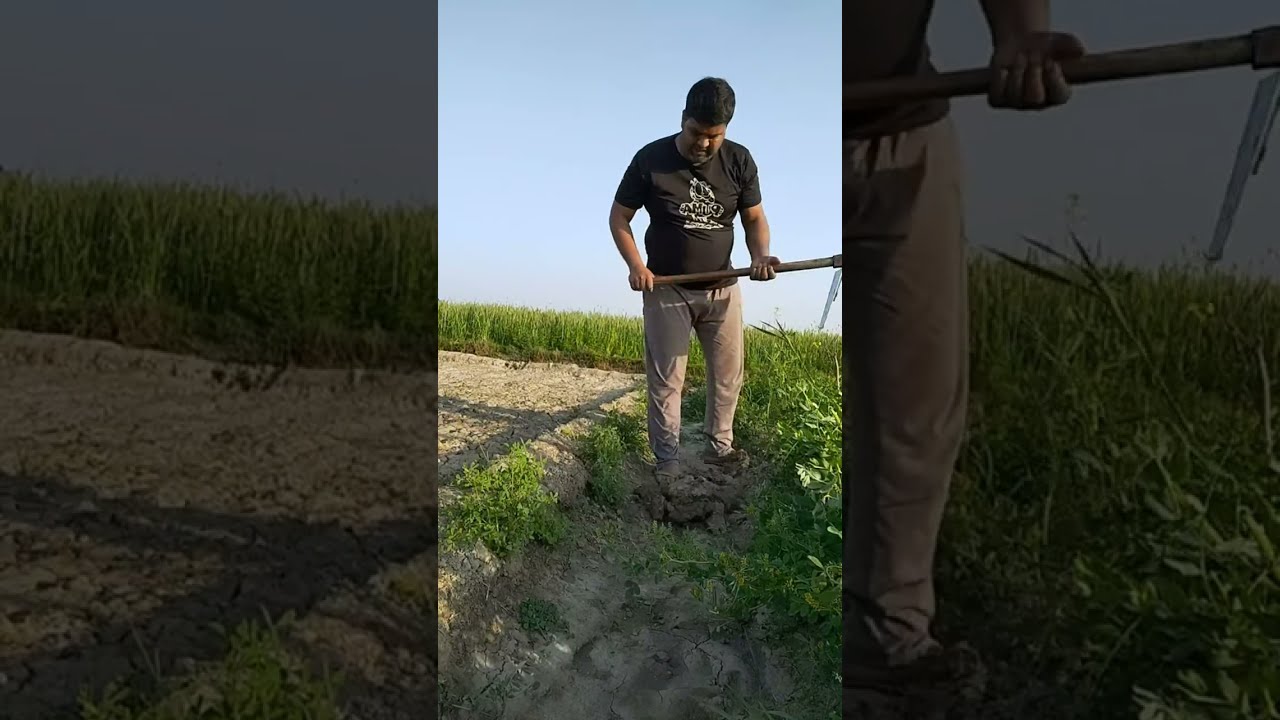 Kumar Amit village life  is live!