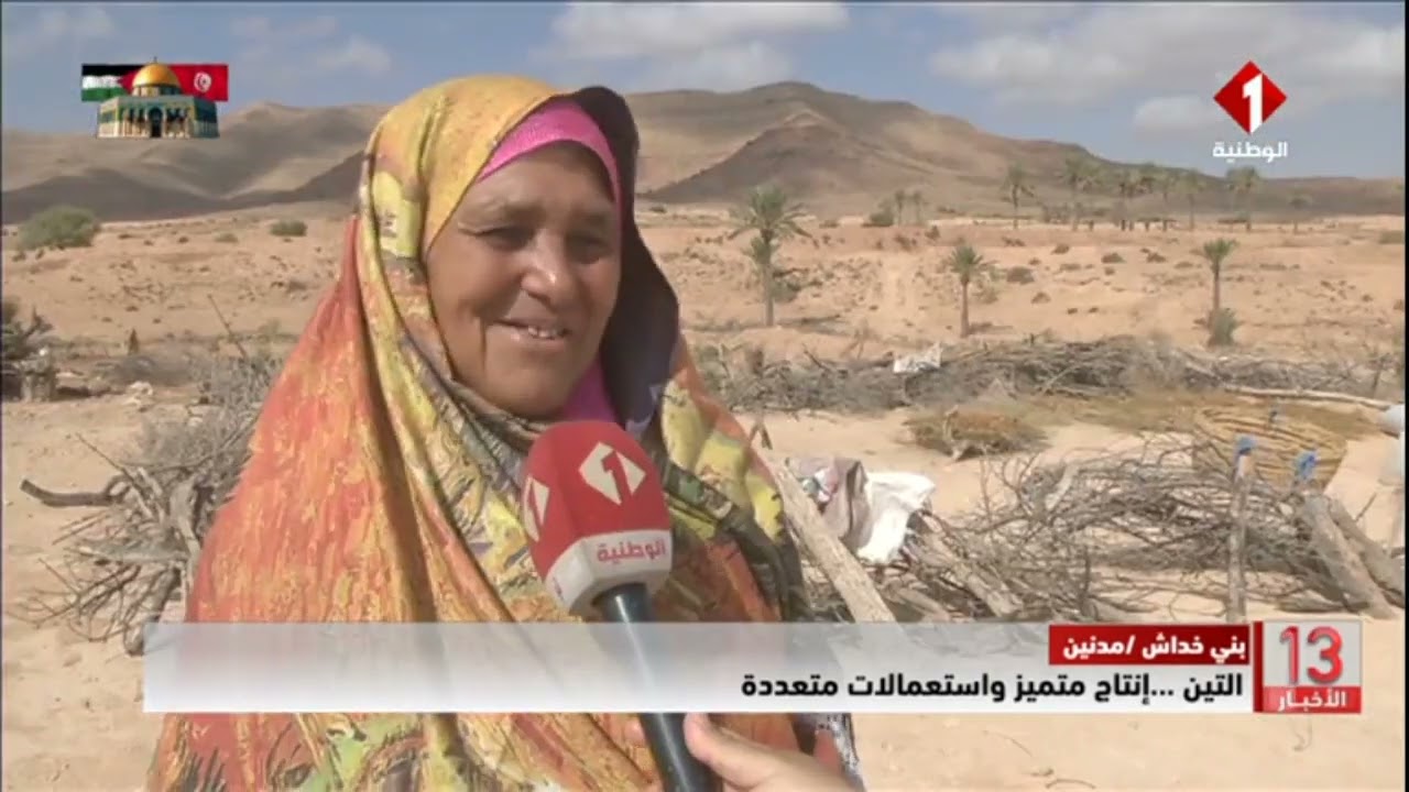 بني خداش امدنين || #التين ... إنتاج متميز واستعمالات متعددة