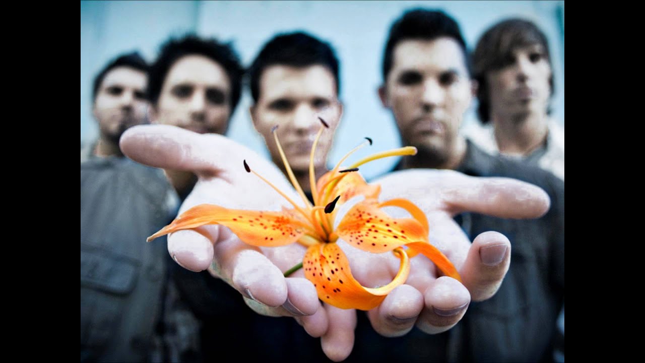 Manic Bloom - Start A New One