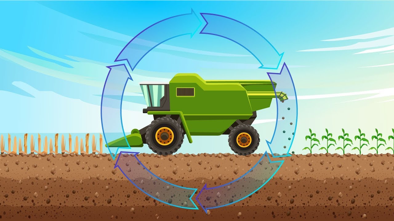 Cormo Explainer Video | Doodle Video Production