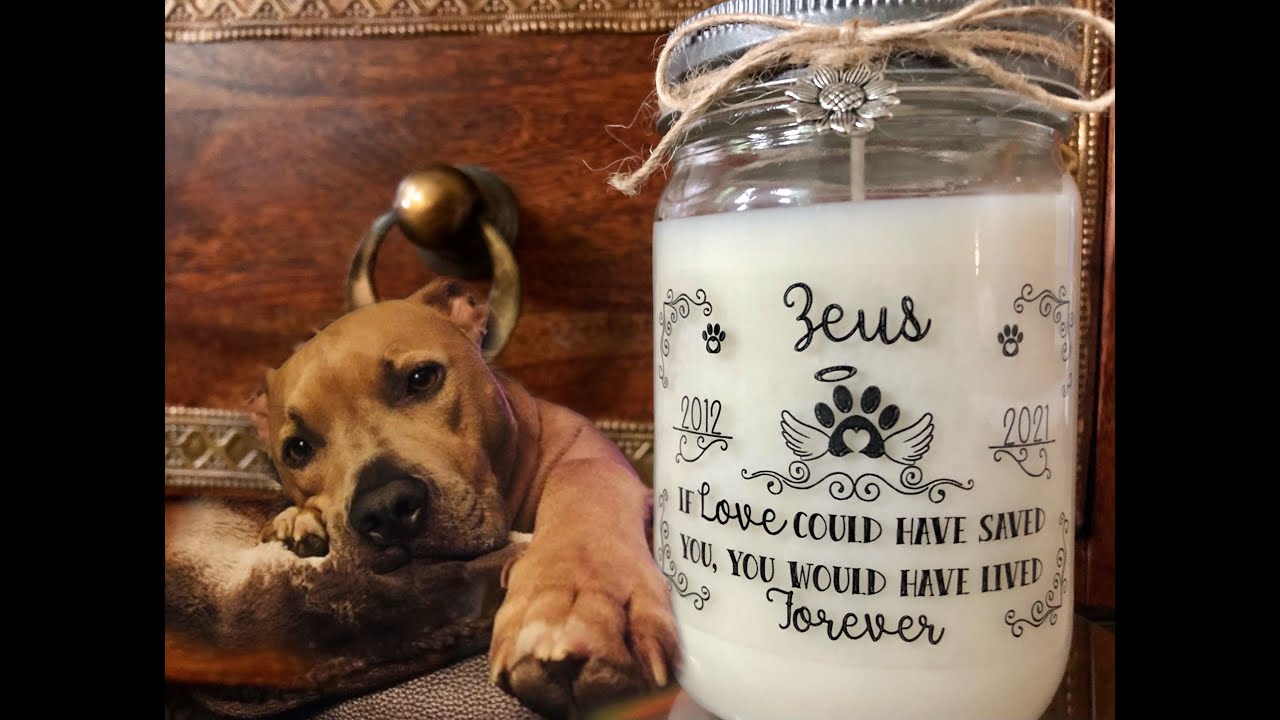 ZEUS 'Zeusy' Run In Paradise baby Zeusy until we meet again xoxo  Song 'Forever' by Tony Touris